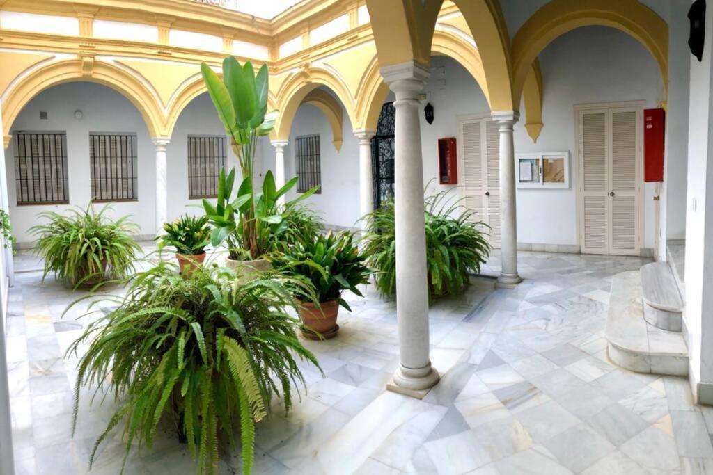 Gatu Villa Palma, Aire Acc Y Confort En El Centro Historico, " Preferente Mayores De 25 Anos Y Familias " El Puerto de Santa María Eksteriør billede