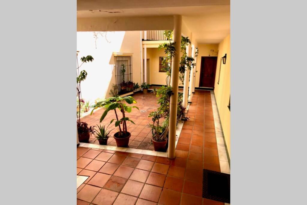Gatu Villa Palma, Aire Acc Y Confort En El Centro Historico, " Preferente Mayores De 25 Anos Y Familias " El Puerto de Santa María Eksteriør billede